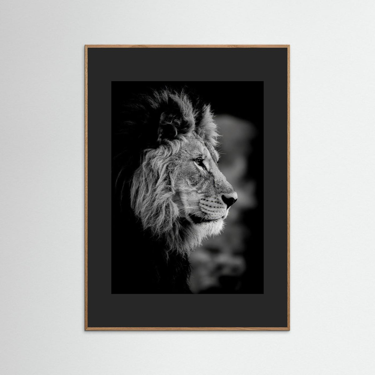 Majestic Mind