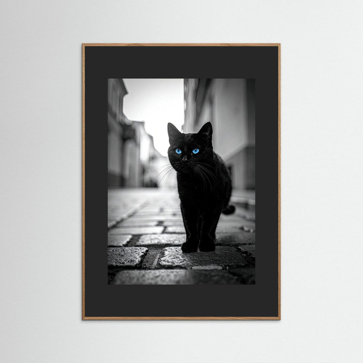 City Cat