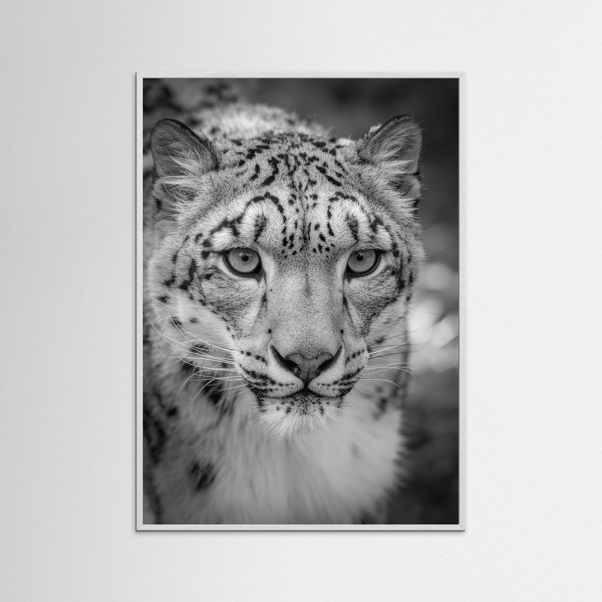 Leopard in Snow