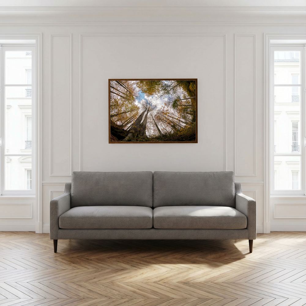 Golden Forest Sky View 