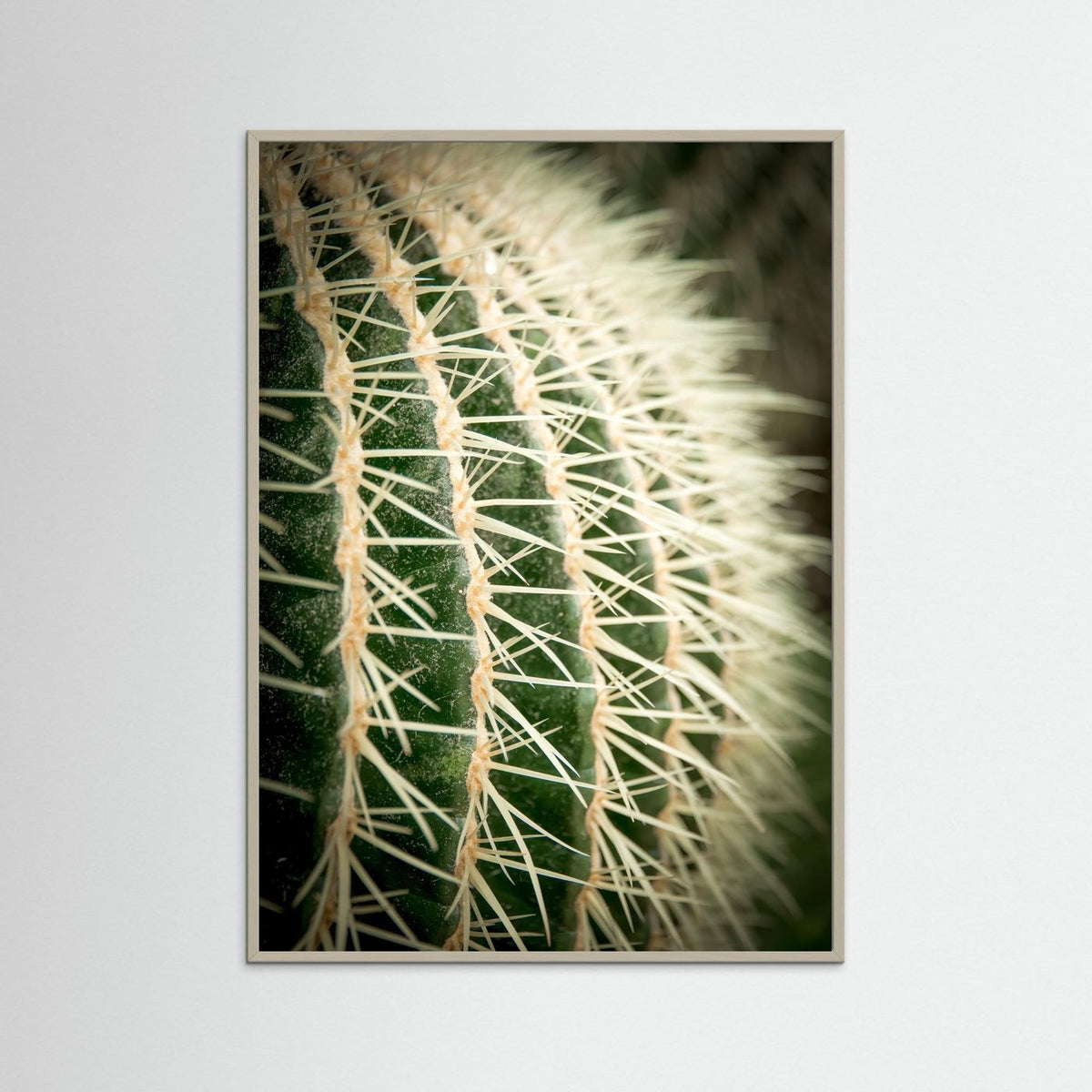 Cactus