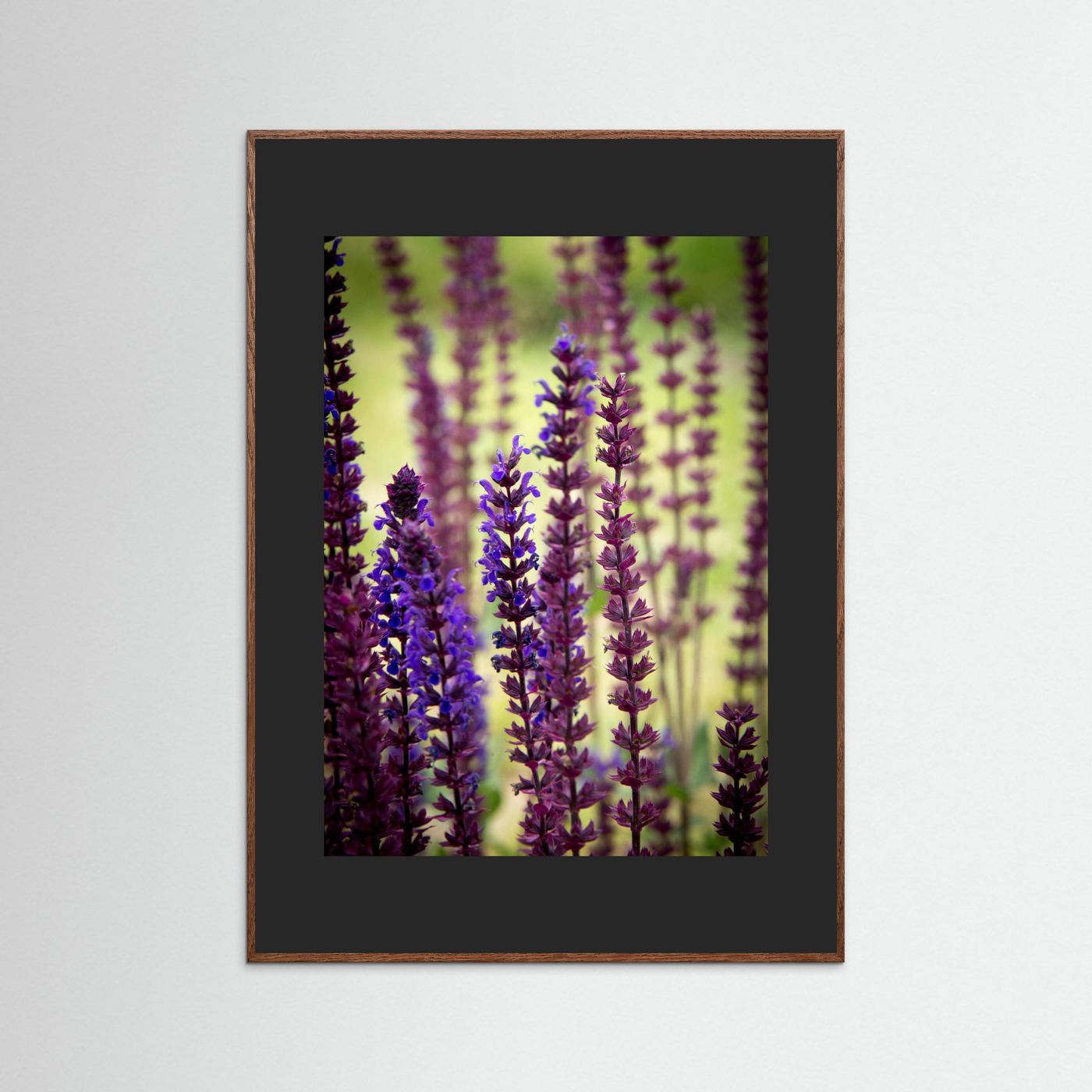 Purple flowers