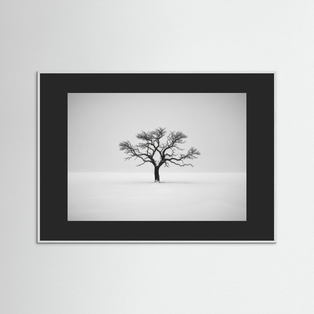 Tree of Life