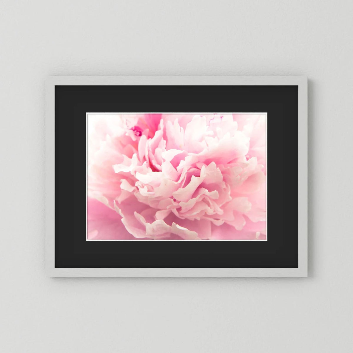 Fluffy Flower