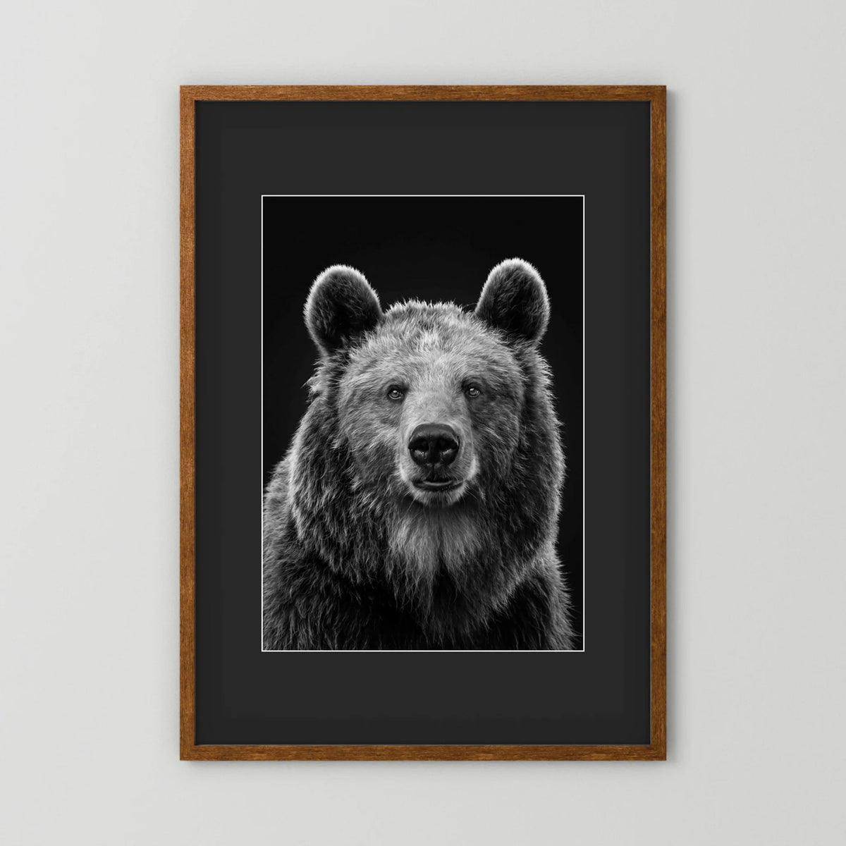 The Bear