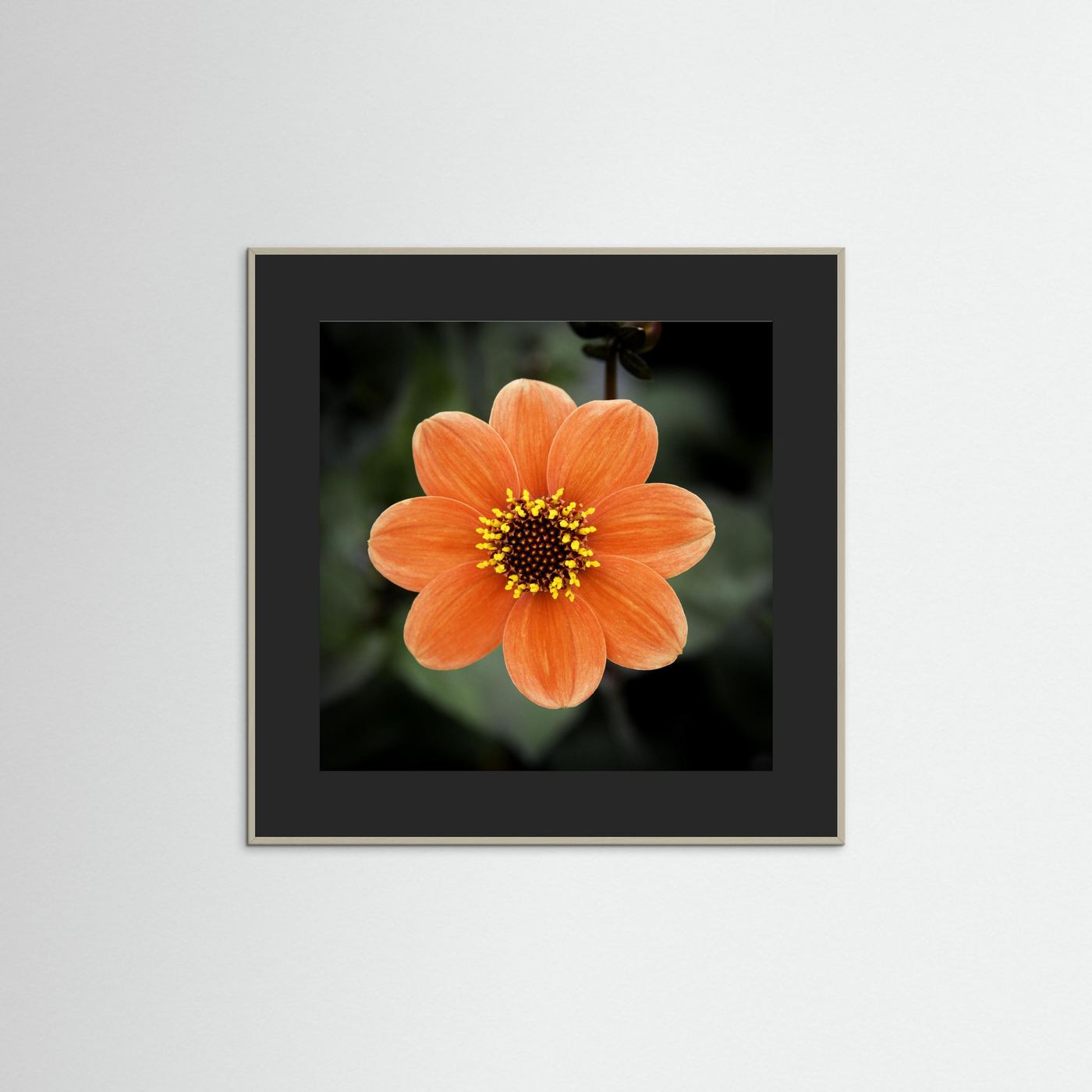 Square flower
