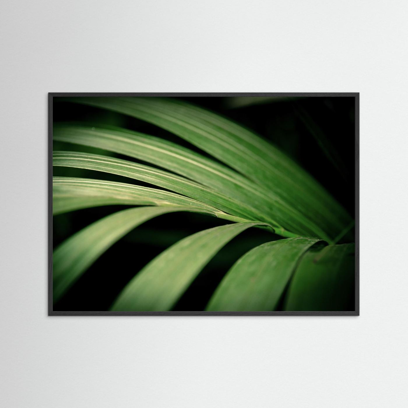Green leaves